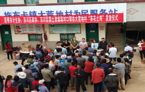 市计生协大荒地村茶花土鸡养殖帮扶项目正式启动30