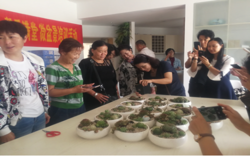 盘龙区金辰计生开展盆景培训297