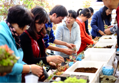 昆明市盘龙区金辰街道计生开展会员之家活动304