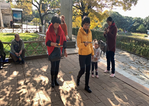 昆明市盘龙区青云街道佳园社区组织计生特殊家庭开展冬游户外趣味活动288