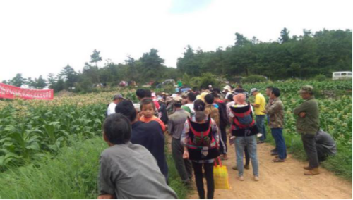 石林县圭山镇开展系列惠民讲座303
