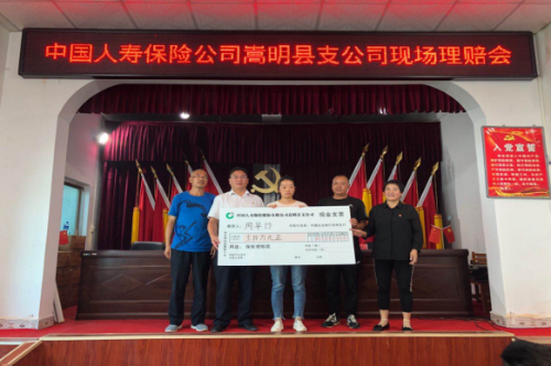 嵩明县召开计生意外伤害保险理赔现场会20