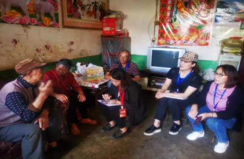 昆明市嵩明县计生协圆满完成第五次中国城乡老年人生活状况抽样调查工作313
