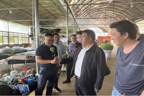 李善荣到昆明市禄劝县中屏镇调研乡村振兴与推进新型婚育文化工作开展情况265