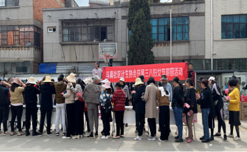 图片4