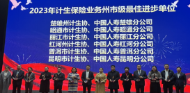 兜底保障，服务群众，省全召开计生保险工作总结及表彰大会简报677