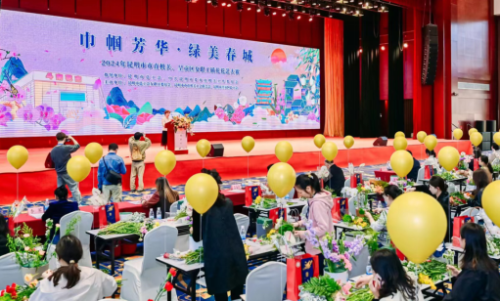 图片11