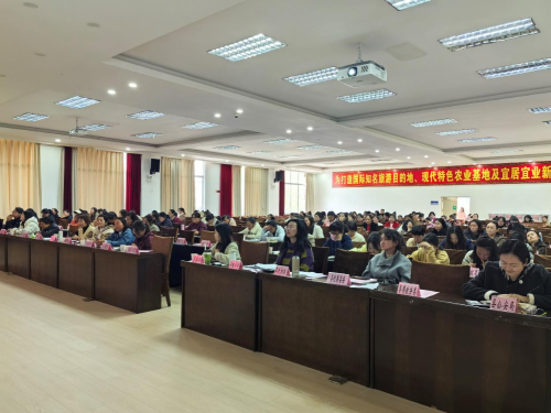 图片7