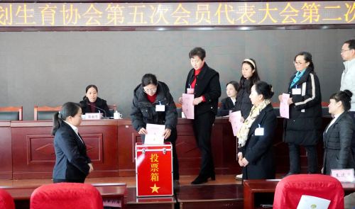 图片3