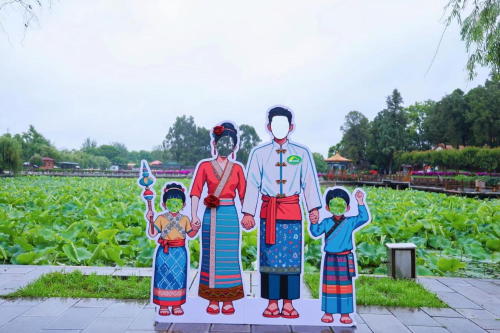 图片3